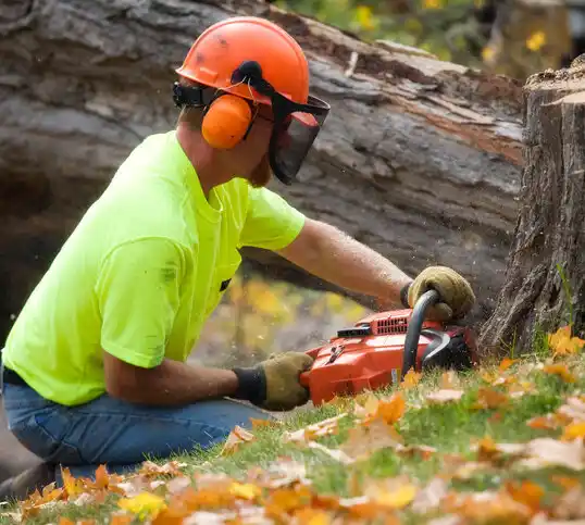 tree services Sand Ridge